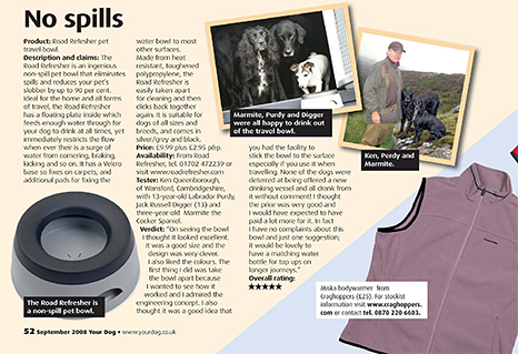 Your Dog Magazines